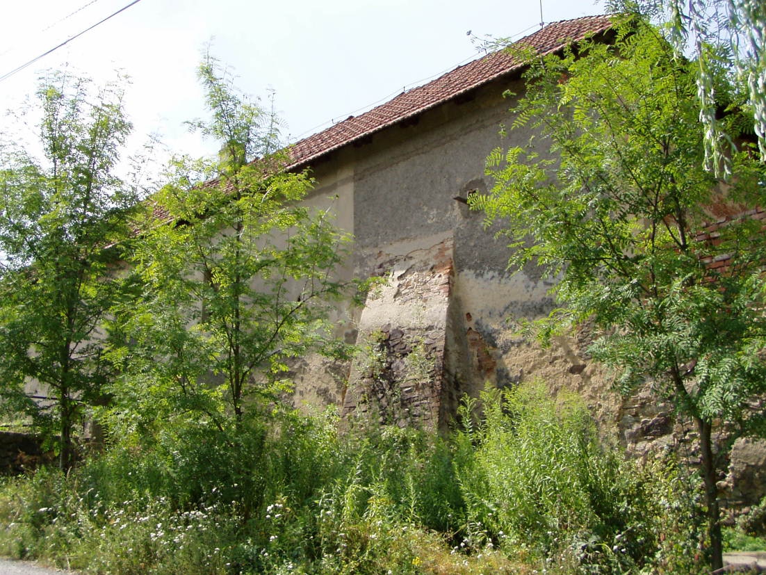 Trnová 03