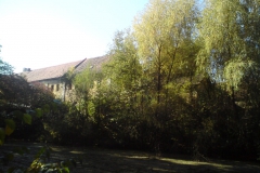 Úlice autor Luděk Gasseldorfer říjen 2010 06