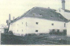 Velemysleves