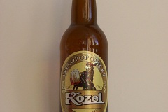 l_kozel10_2007