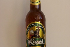 l_kozel12_2007