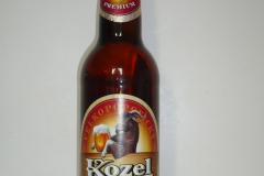 l_kozel12_2009
