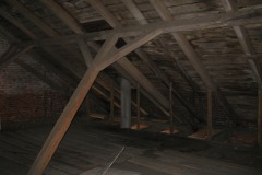 vernerice_David-Fiser-cerven-2010-04