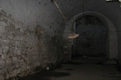 vernerice_David-Fiser-cerven-2010-06