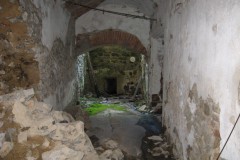 vernerice_David-Fiser-cerven-2010-07