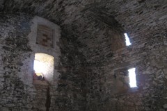 vernerice_David-Fiser-cerven-2010-08