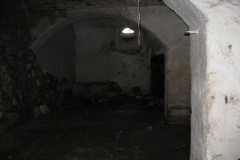 vernerice_David-Fiser-cerven-2010-09