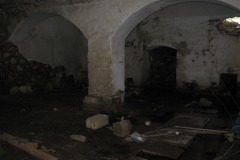 vernerice_David-Fiser-cerven-2010-10