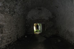 vernerice_David-Fiser-cerven-2010-11