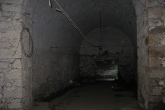 vernerice_David-Fiser-cerven-2010-12