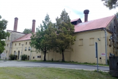 Vidnava  Roman Holoubek, léto 2009 01