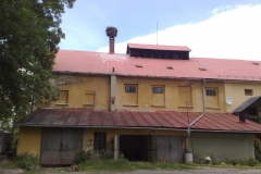 Vidnava  Roman Holoubek, léto 2009 03