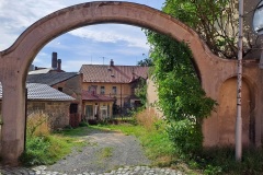 vitkov2023_Adam-William