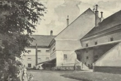 vlčice 01