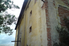 Vlkýš autor Luděk Gasseldorfer, léto 2010 06