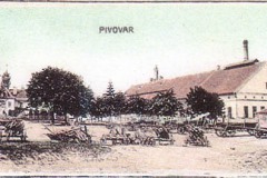 Voksice_01
