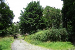 volary-st-2021-09