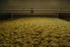 Vyškov-autor-Vladislav-Kopřiva-28.9.2007-15