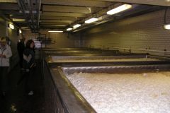 Vyškov-autor-Vladislav-Kopřiva-28.9.2007-16