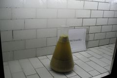 Vyškov-autor-Vladislav-Kopřiva-28.9.2007-19