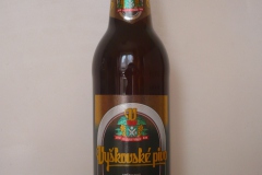 l_breznak_2012