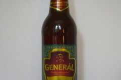 l_general2009