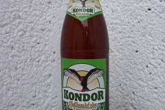 l_kondor