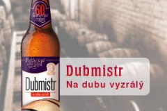 vyskov_dubmistr