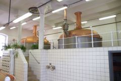 Vysoký-Chlumec-autor-Vladislav-Kopřiva-25.7.2011-05