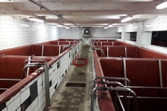 vysokychlumec_Petr-Vondra-05