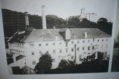 P1170904