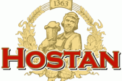 Hostanlogo
