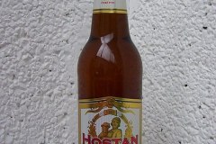 l_hostan11