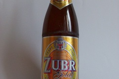 l_zubr11