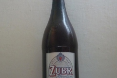 l_zubr12PET