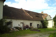 zvíkovec_autor-Luděk-Gasseldorfer-léto-2011-01