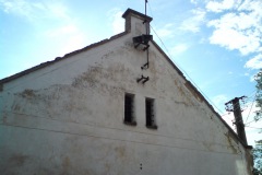 zvíkovec_autor-Luděk-Gasseldorfer-léto-2011