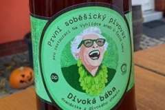sobesice_DivaBaba