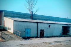 sardice-02