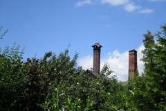 turnov_svoboduv10
