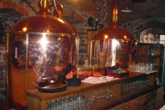 Kozlovice-27.12.2008-12