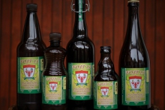 velkorakovsky_Fojt13