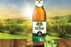 breclav_beran
