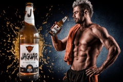 breclav_jaguar