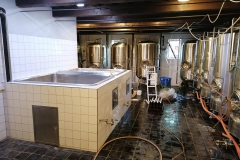 zabreh_Hynek-Rosenbaum-03