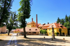 plasy_Eduard-Serba