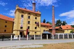 plasy_Eduard-Serba01