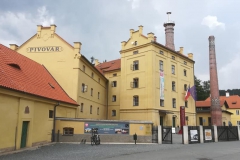 plasy_budova
