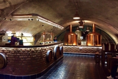 plasy_restaurace01