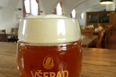 vseradice_senator